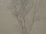 un dessin représentant un arbre au milieu d'un champ brumeux