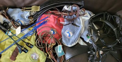 a lot of purses that are sitting on the couch