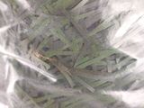 un gros plan sur un bouquet d'herbe dans un sac en plastique