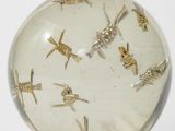 a glass ball with insects inside of it on a stand