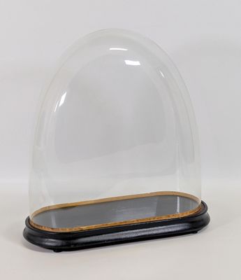 un dôme en verre transparent reposant sur un socle en bois, sur fond blanc