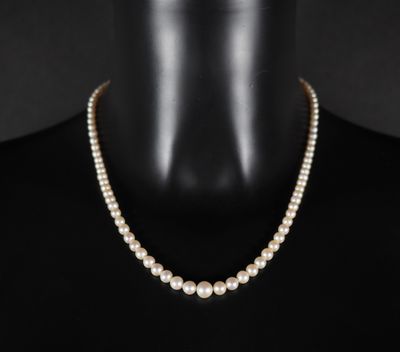 un collier de perles blanches sur un mannequin mannequin mannequin mannequin mannequin mannequin mannequin mannequin mannequin mannequin