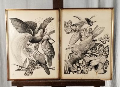 un couple d'oiseaux sur une branche et un oiseau sur une branche, le tout dans un cadre