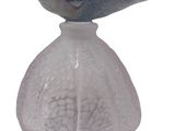 a glass vase with a flower in it on a white background