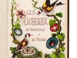 un livre ouvert sur lequel figure une illustration représentant des oiseaux et des fleurs