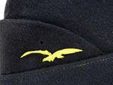 a close up of a blue hat with a yellow bird on it