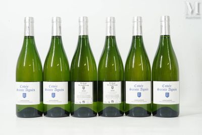 six bouteilles de vin blanc alignées sur une table
