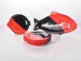 une assiette rouge et noire sur laquelle est posé un poisson