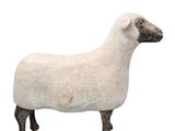 un mouton blanc debout sur un fond blanc