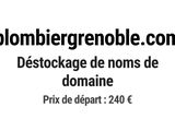 Photo 1/1 du lot