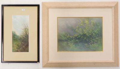 two framed paintings of trees and bushes on a white wall