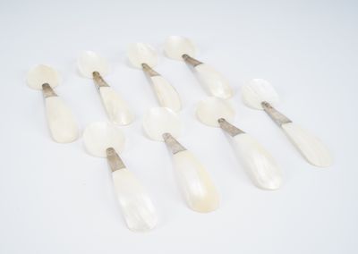 six cuillères blanches à manche argenté posées sur un fond blanc