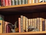 de nombreux livres qui se trouvent sur les étagères de la pièce