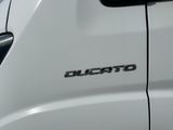 a close up of a white car with the word elgatto on it