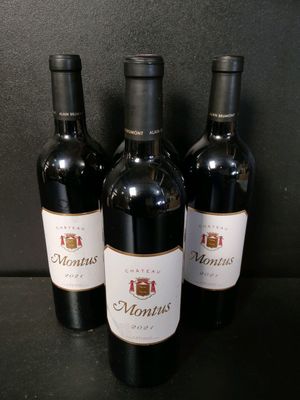 4 Bouteilles de vins rouges Château Montus 2021 - Neuf - TVA Récupérab - Photo 1