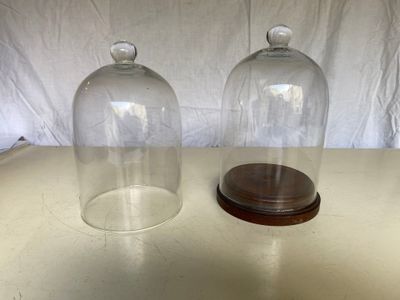 paire de cloches en verre avec socle en bois