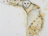 an image of a drawing of a barn owl on a piece of paper
