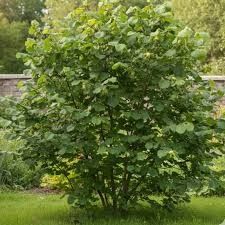 Destockage & Invendus