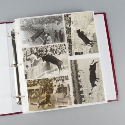 un livre ouvert contenant des images de personnes et d'animaux