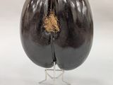 an eggplant on a stand with a piece of hay sticking out of it