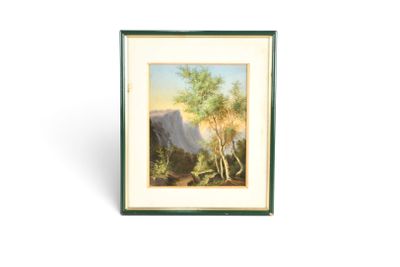 peinture représentant un paysage de montagne avec des arbres et des montagnes en arrière-plan
