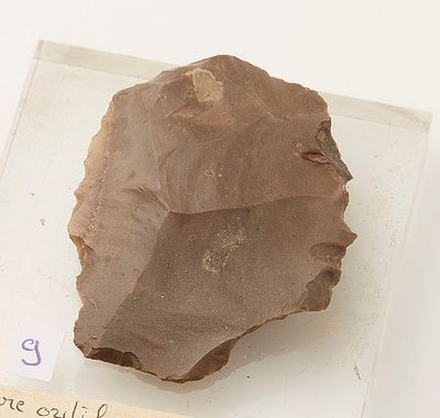 Rare outil en silex en forme de visage.