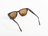 a pair of brown sunglasses on a white background
