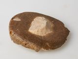 a piece of bread that has been cut in half