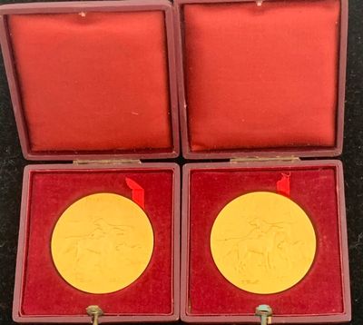 deux médailles d'or dans un écrin rouge posé sur une table