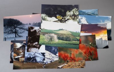 André GAMET (1919-2017) Varia. Nature : faune et flore , cir…