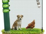 a dog and a chicken in a fenced in area
