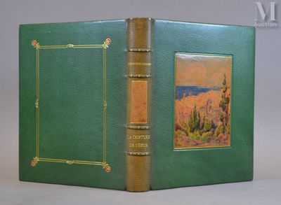 un vieux livre vert sur lequel figure l'image d'un paysage
