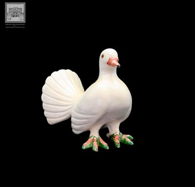 un oiseau blanc debout sur un fond noir