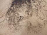 a drawing of a woman ' s head on a piece of paper