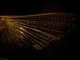 a close up picture of a gold wing on a black background