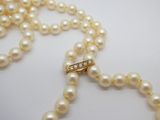 collier de perles avec un fermoir en diamant sur fond blanc