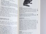 an open book with a picture of a frog on it