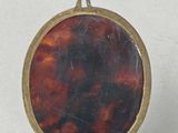 a small tortoise shell in a gold case