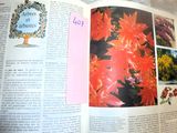 un livre ouvert sur lequel figure l'image d'un arbre et de fleurs