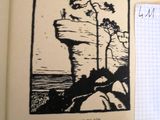 une photo d'un livre sur lequel figure l'image d'un arbre