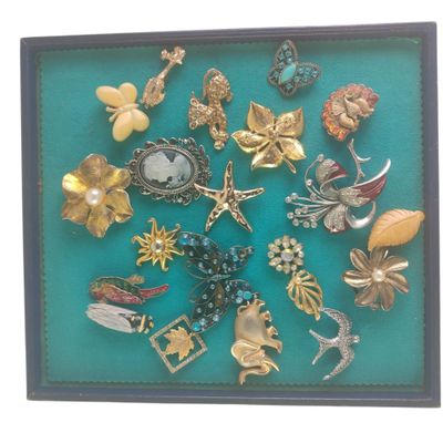 une photo d'une photo d'une collection de broches