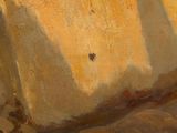 a painting of a horse standing in a rocky area