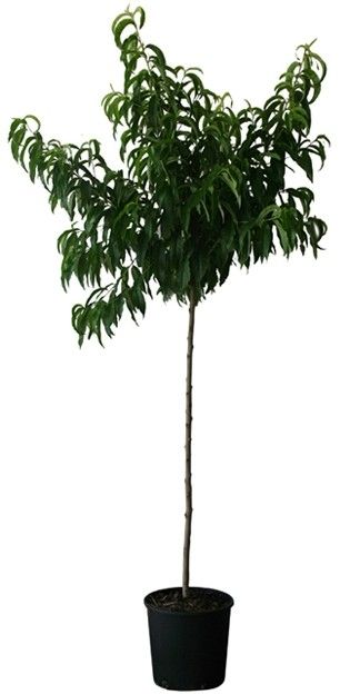 Destockage & Invendus