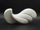a white sculpture of a shell on a black surface