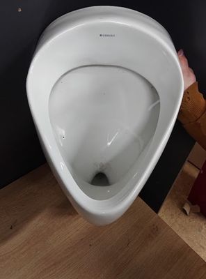 a person holding a urinal in their hand in a bathroom