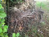 un tas de brindilles et de petits morceaux de bois par terre