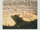 une photo d'une corrida dans un stade, avec des spectateurs