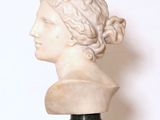 marble bust of a woman with curly hair on a marble pedestal