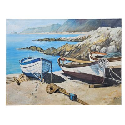 deux bateaux sur la plage, au bord de l'eau