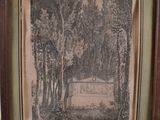 an old picture of a horse and a man in a wooded area